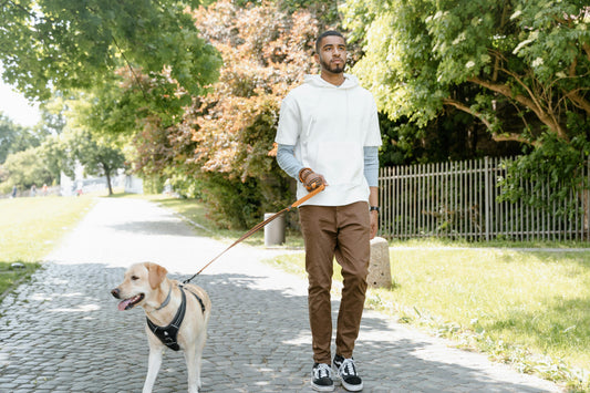 Is Walking Enough Exercise? (Here's the Science)