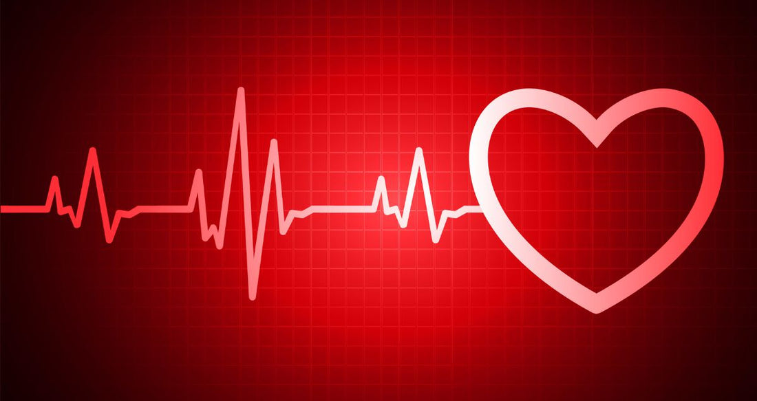 heart rate zones chart for cardio training