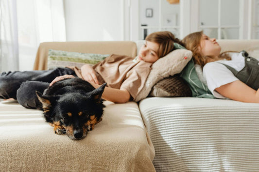 How to Motivate Your Family to Be More Active